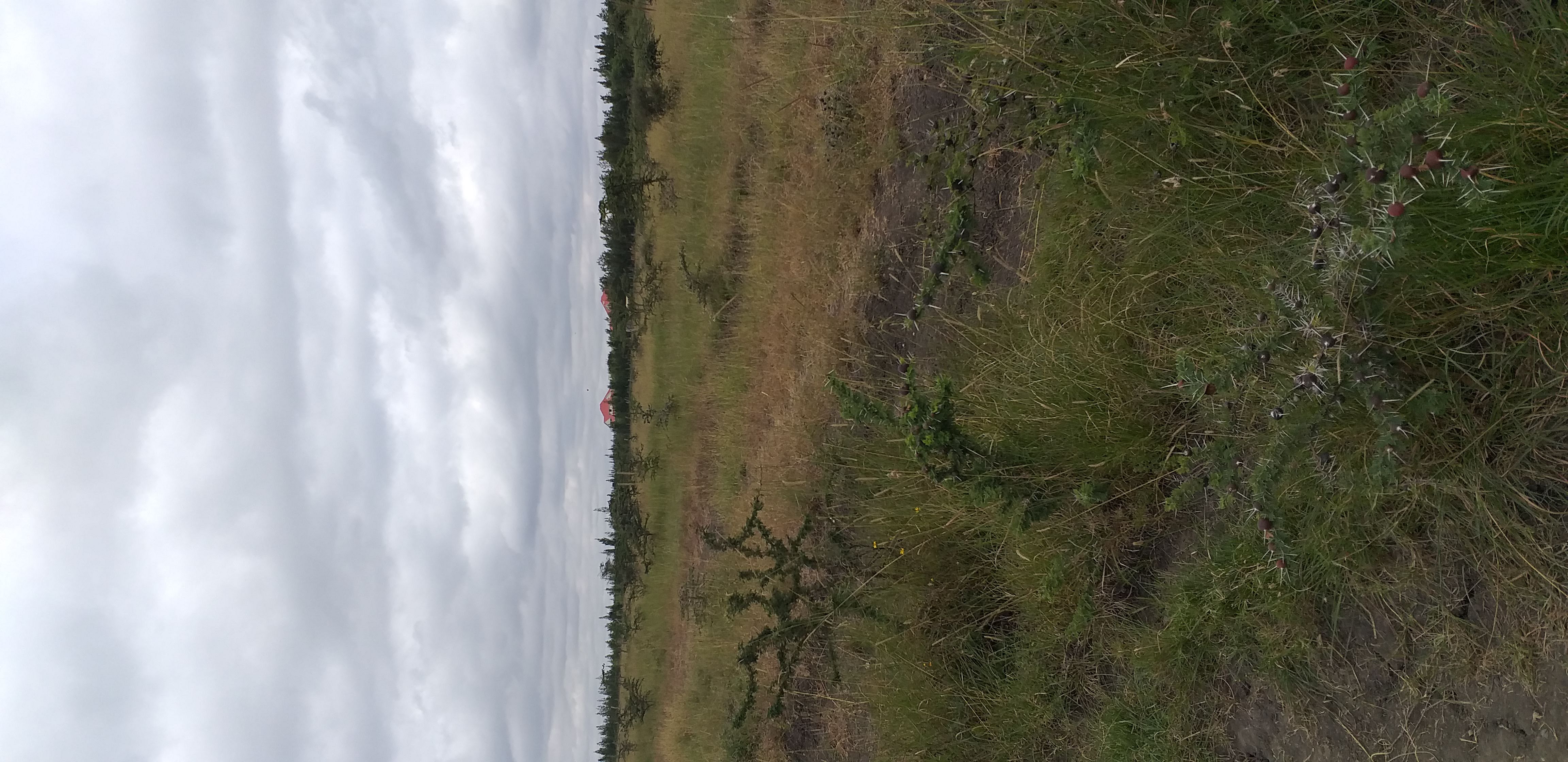 Plot in Developing Area of Kitengela - Image 3