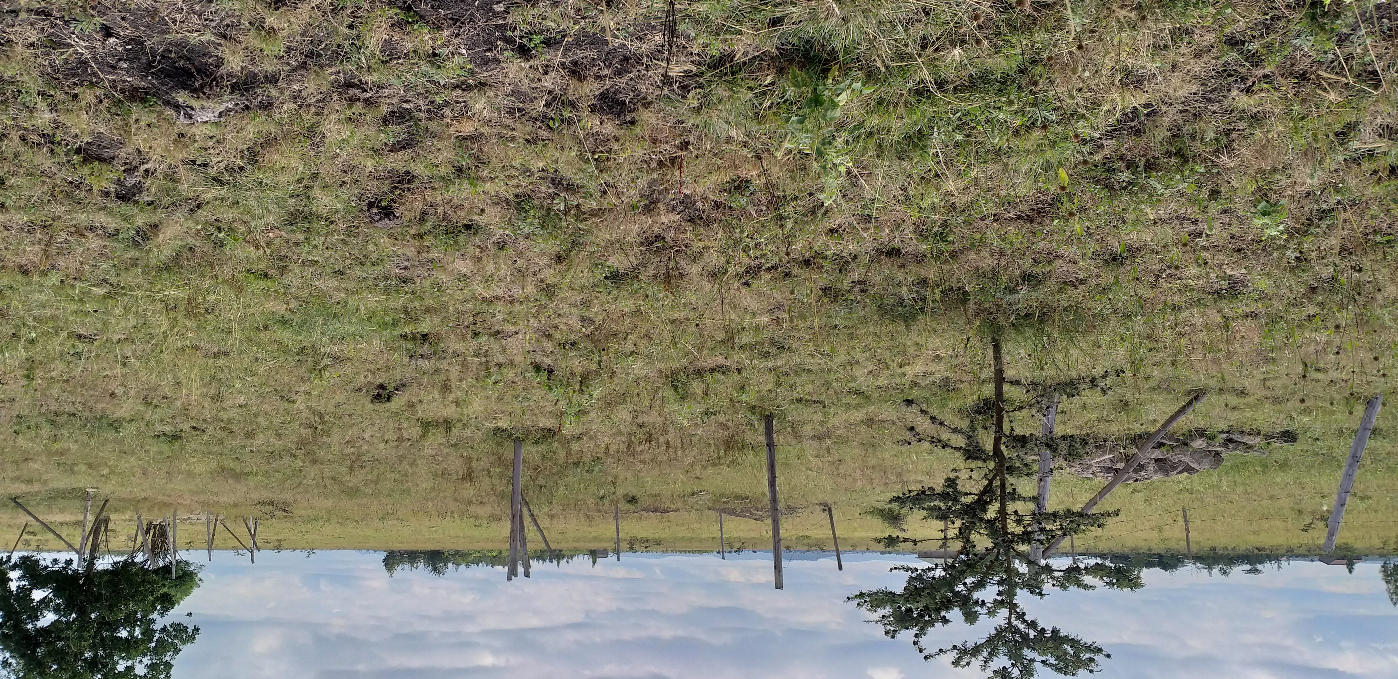 Developing Plot in Kantafu - Image 2