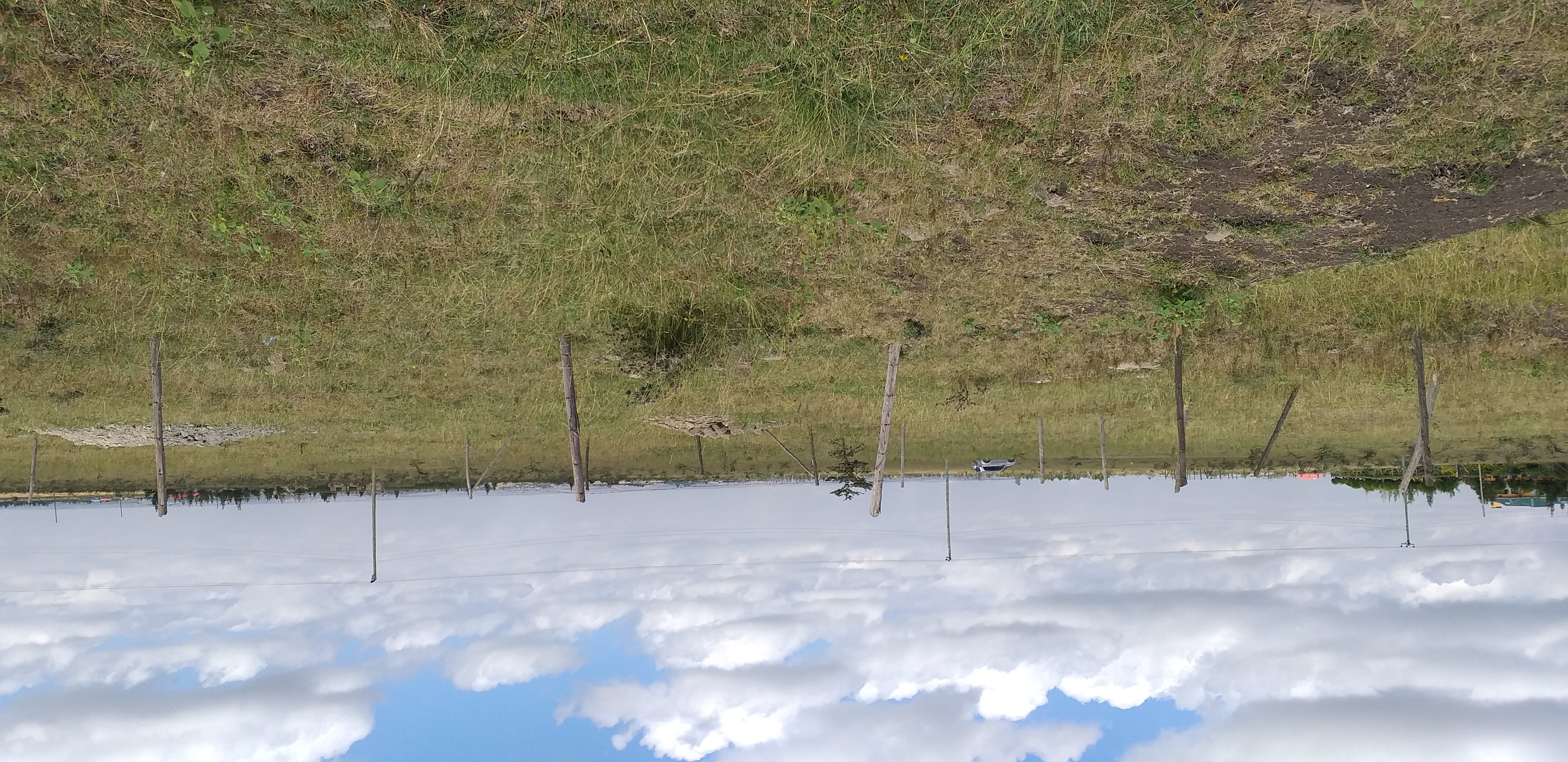 Prime Plot in Kitengela