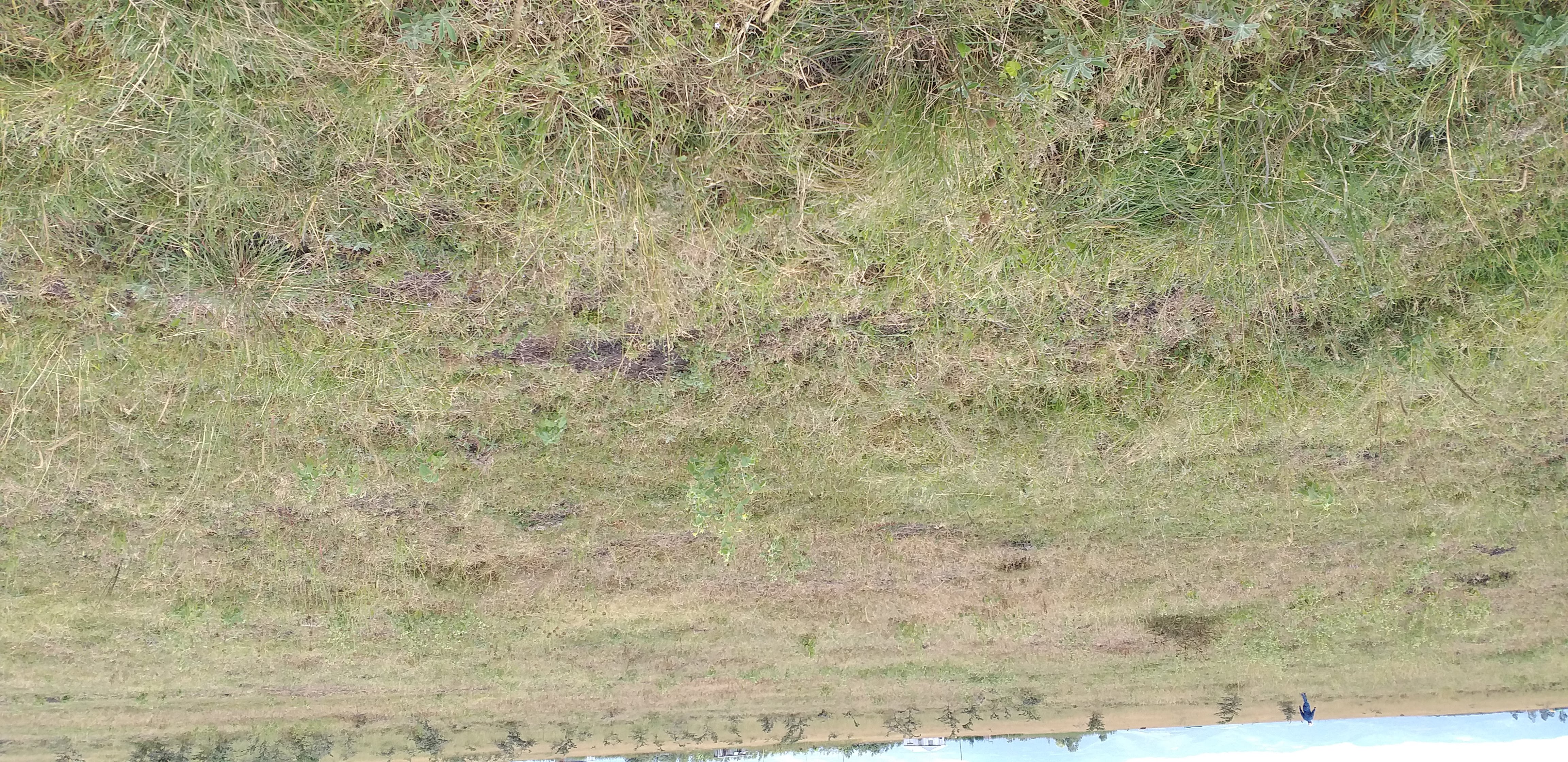 Prime Plot in Kitengela - Image 3