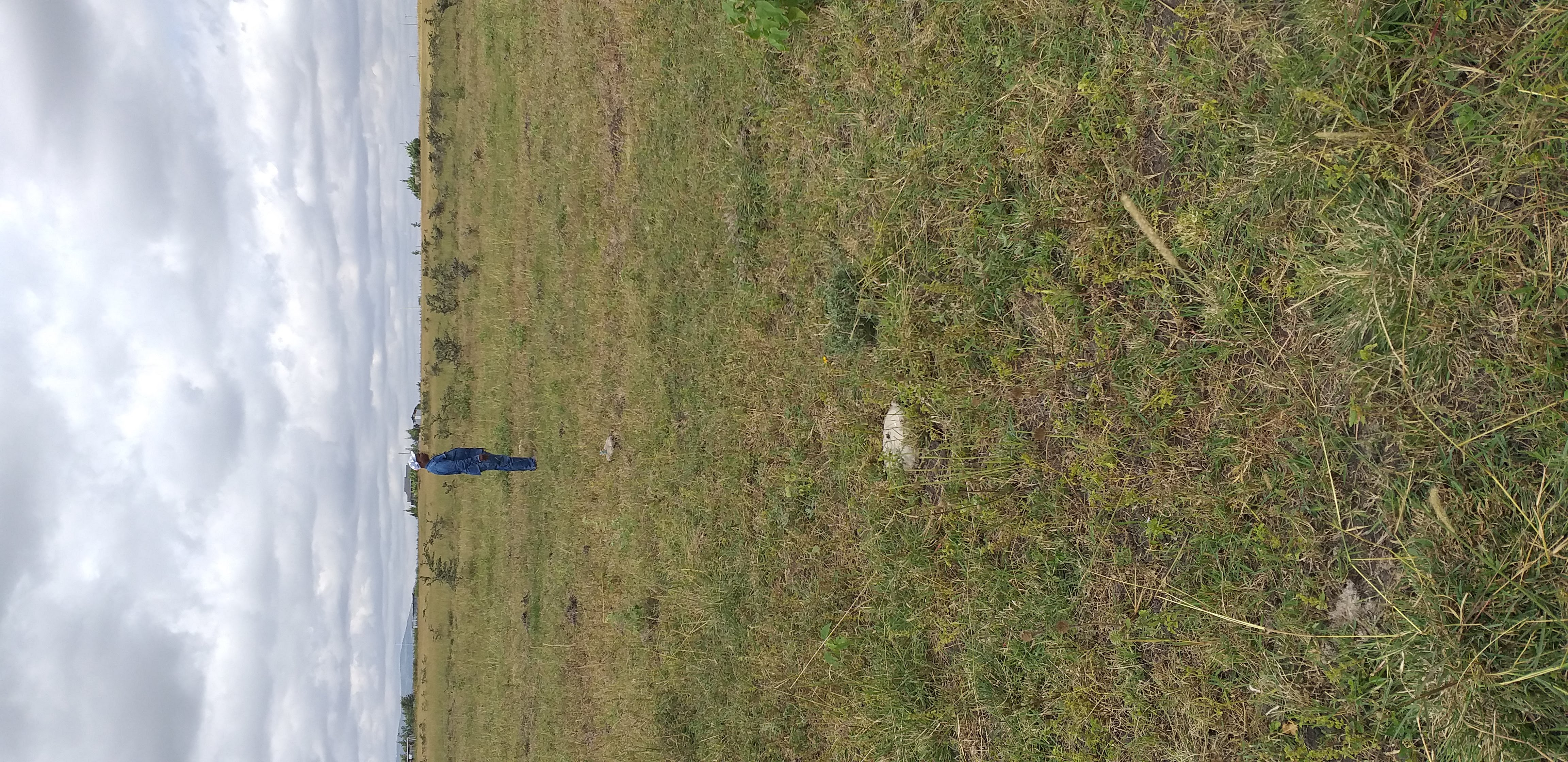 1/8 Acre Plot in Kitengela (Behind New Light)