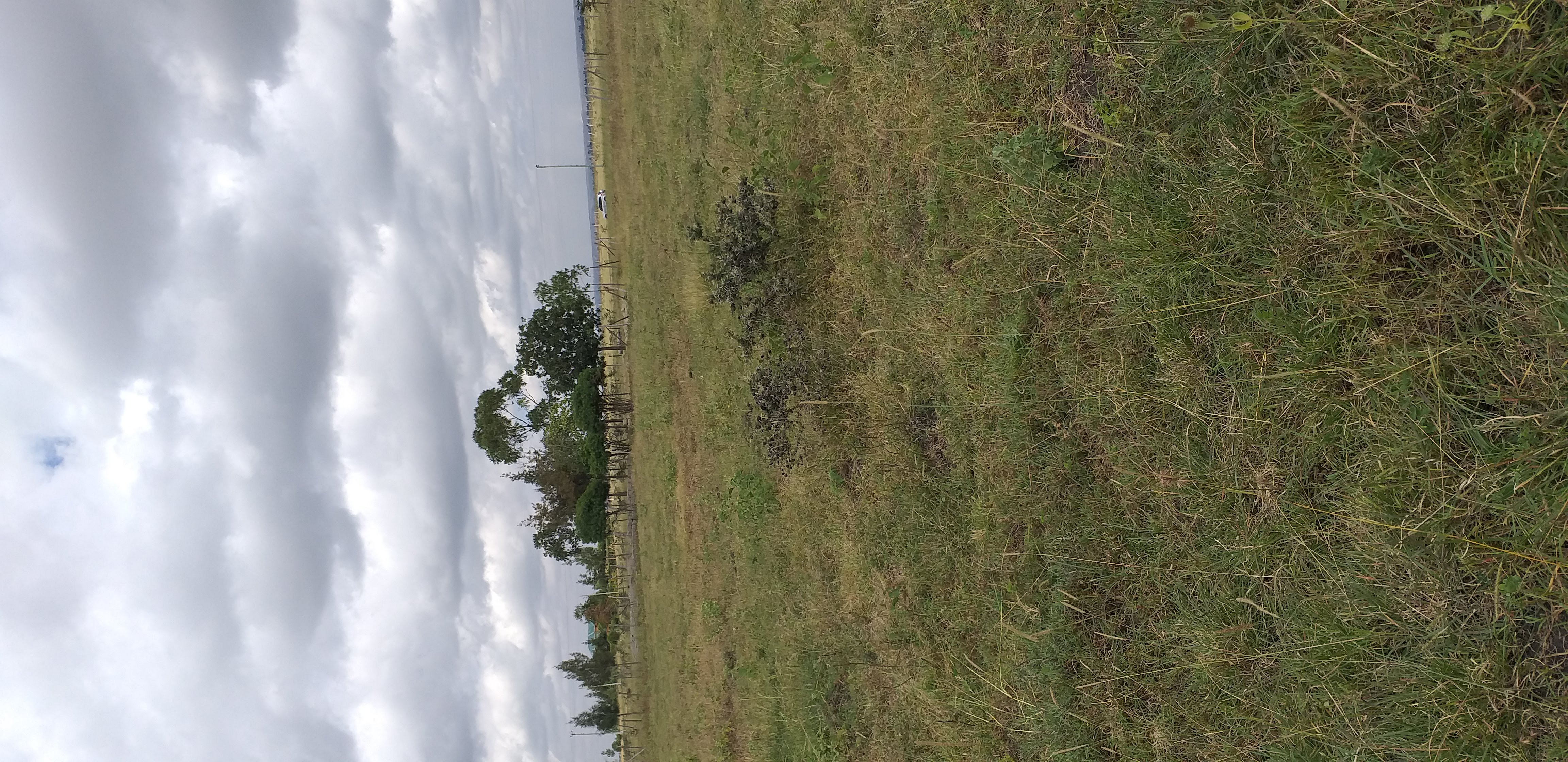 1/8 Acre Plot in Kitengela (Behind New Light) - Image 2