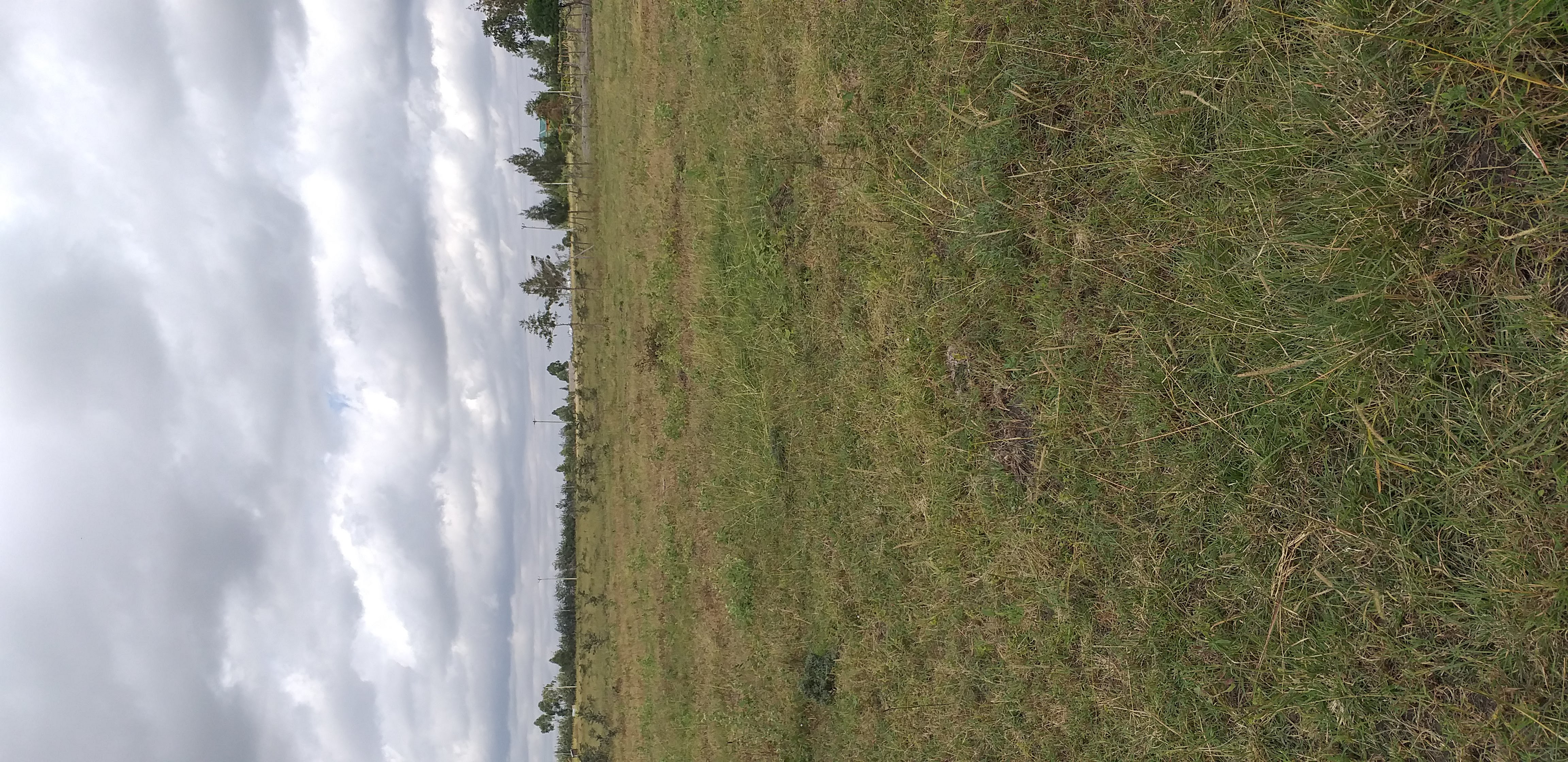1/8 Acre Plot in Kitengela (Behind New Light) - Image 3