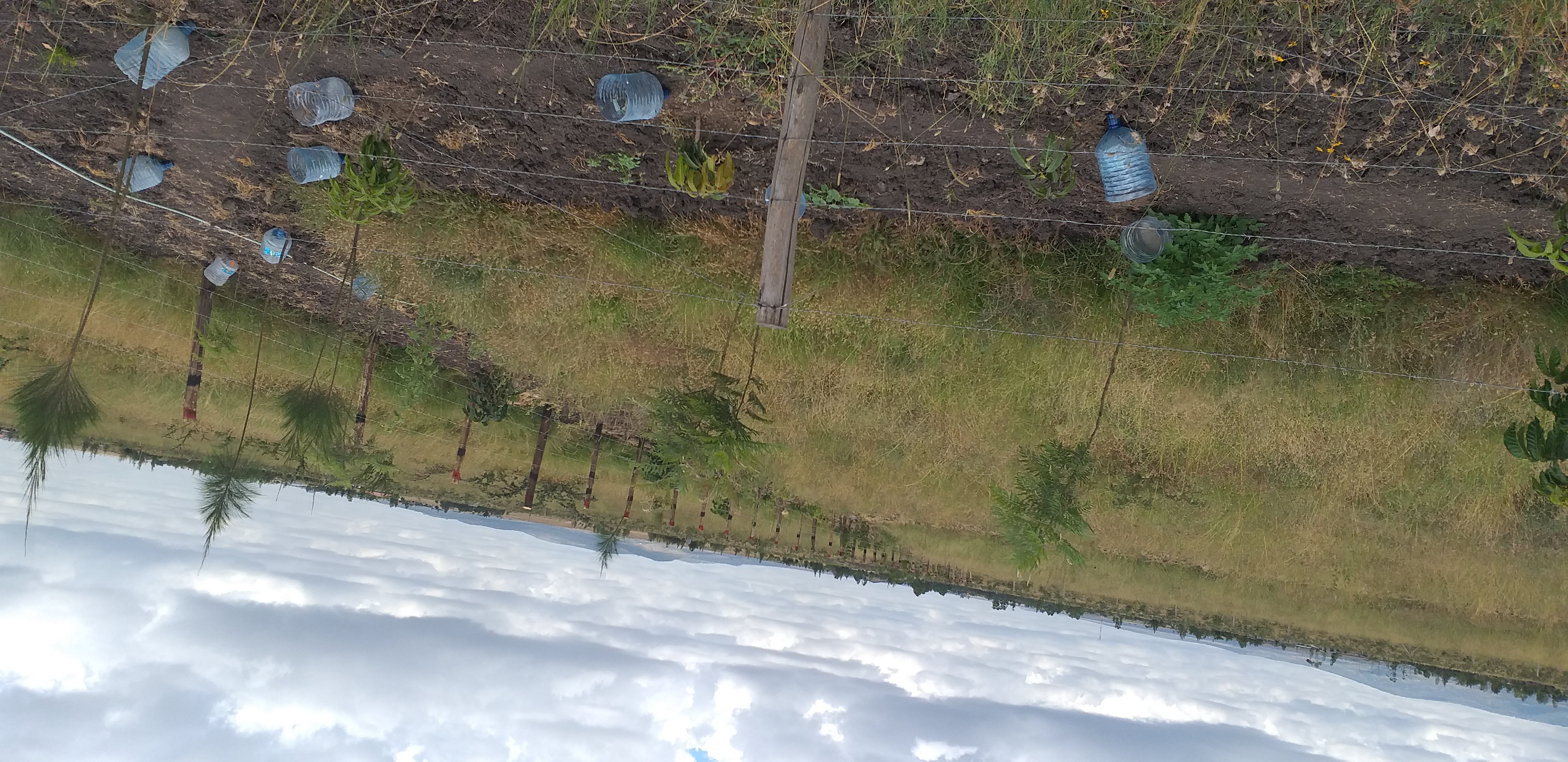 Prime Plots in Kitengela (Plots 5 & 6)
