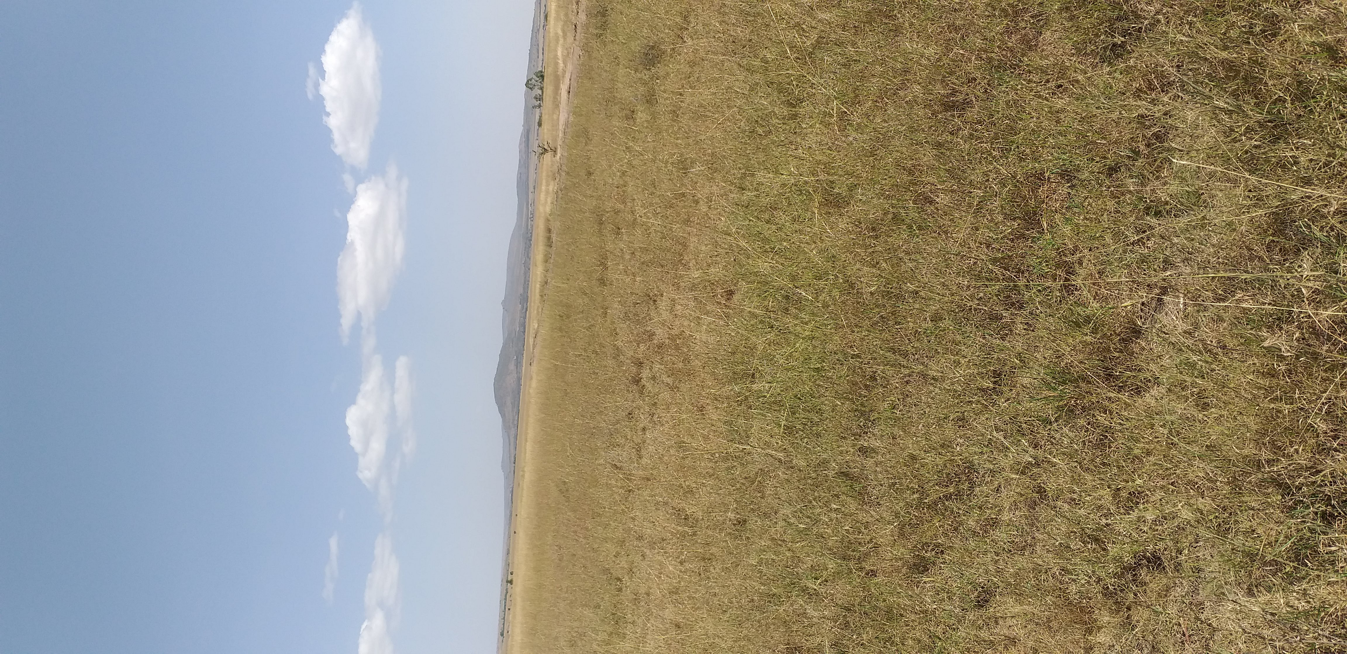 Plot in Kantafu near developing areas - Image 2