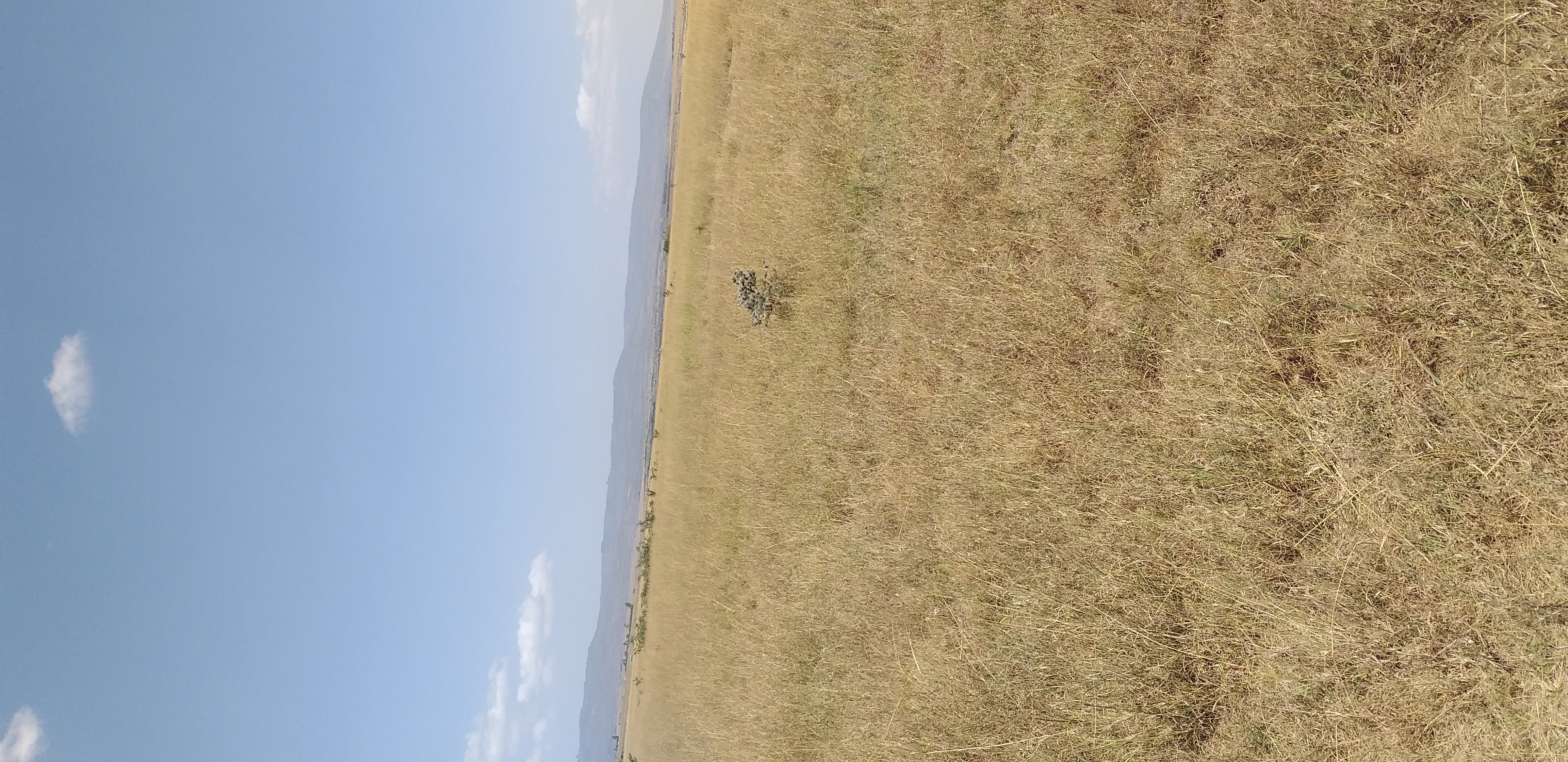 Plot in Kantafu near developing areas - Image 3