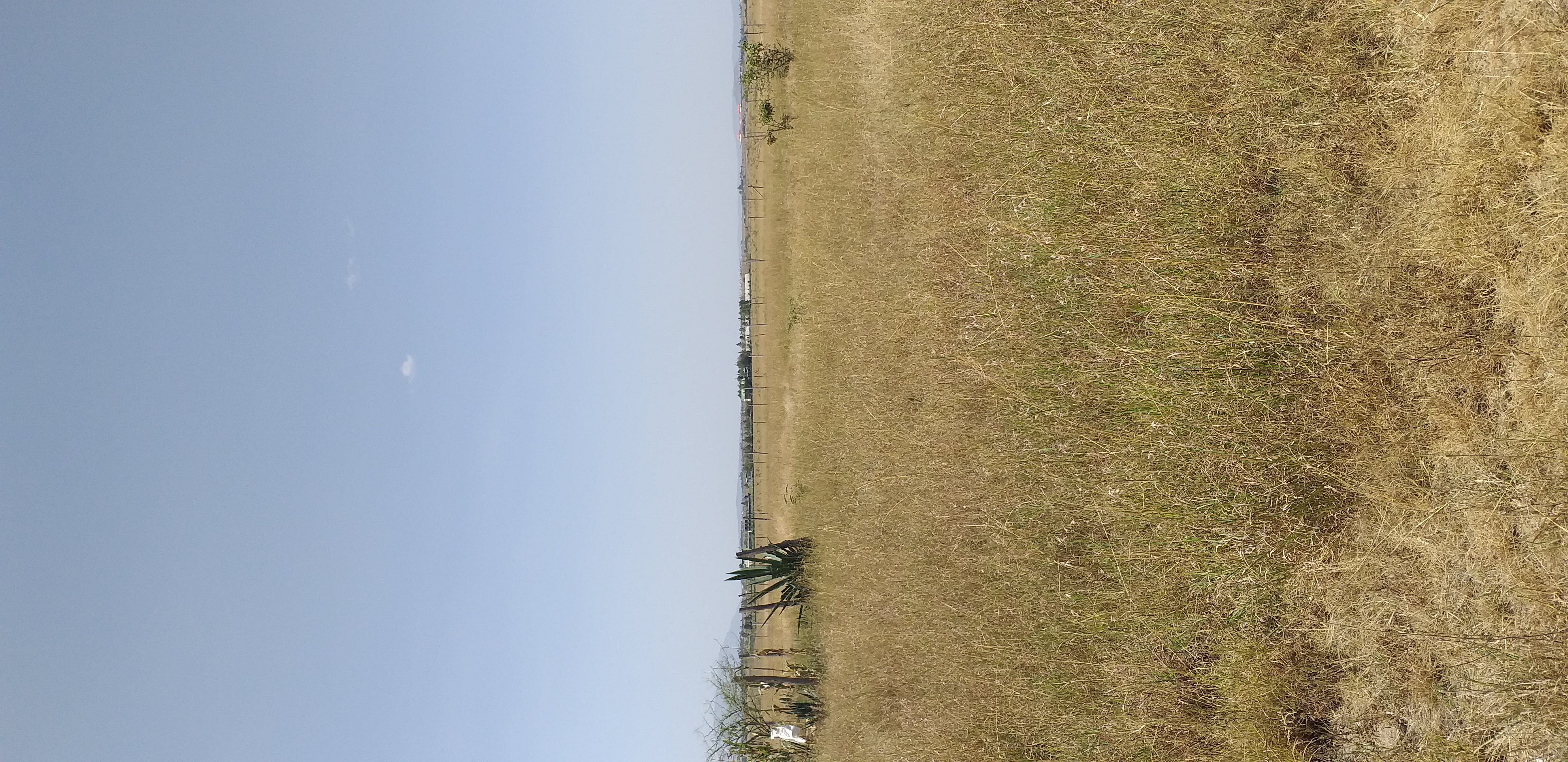 Prime Plot in Kitengela