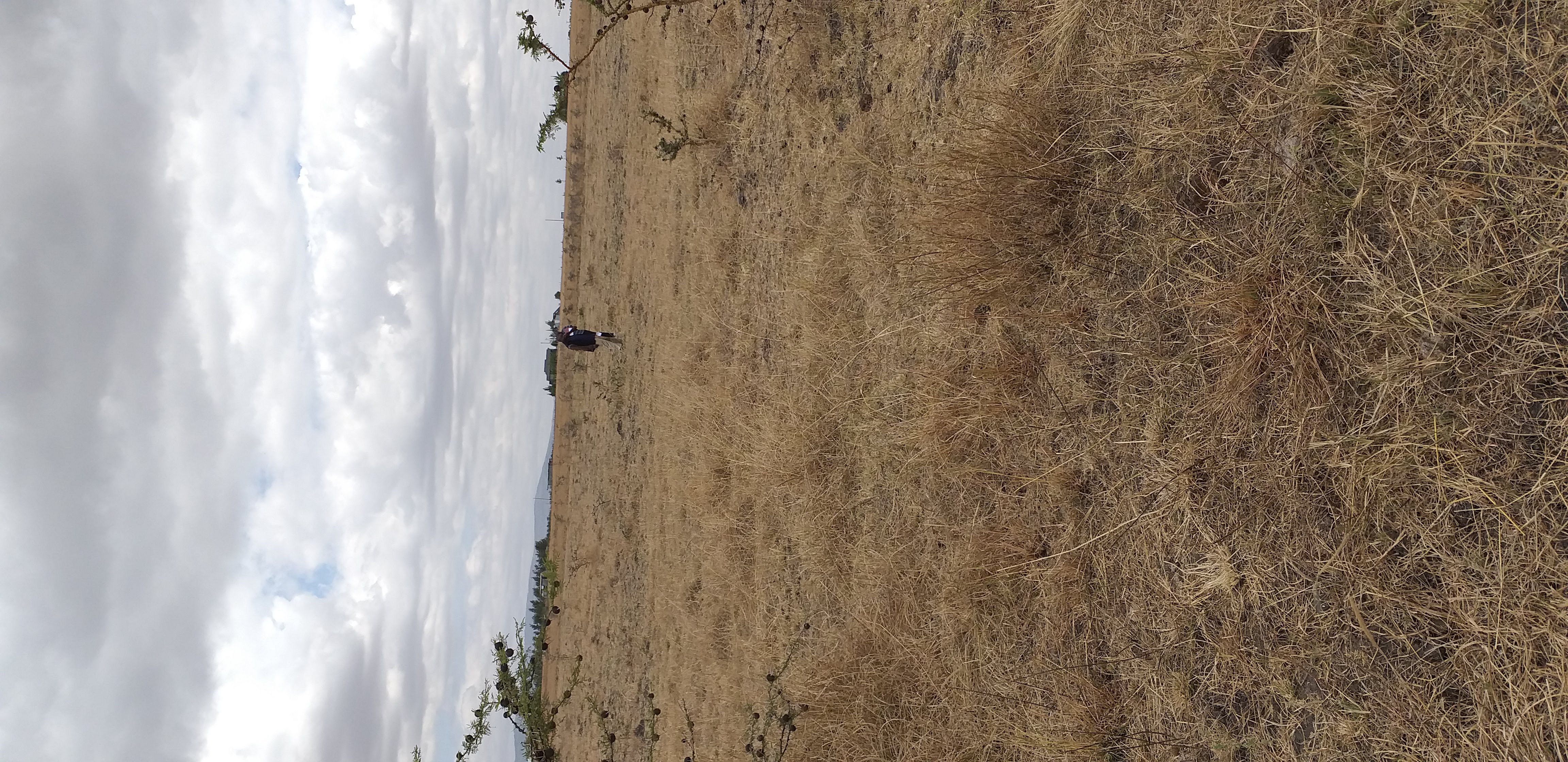 Prime Plot in Kitengela - Image 3