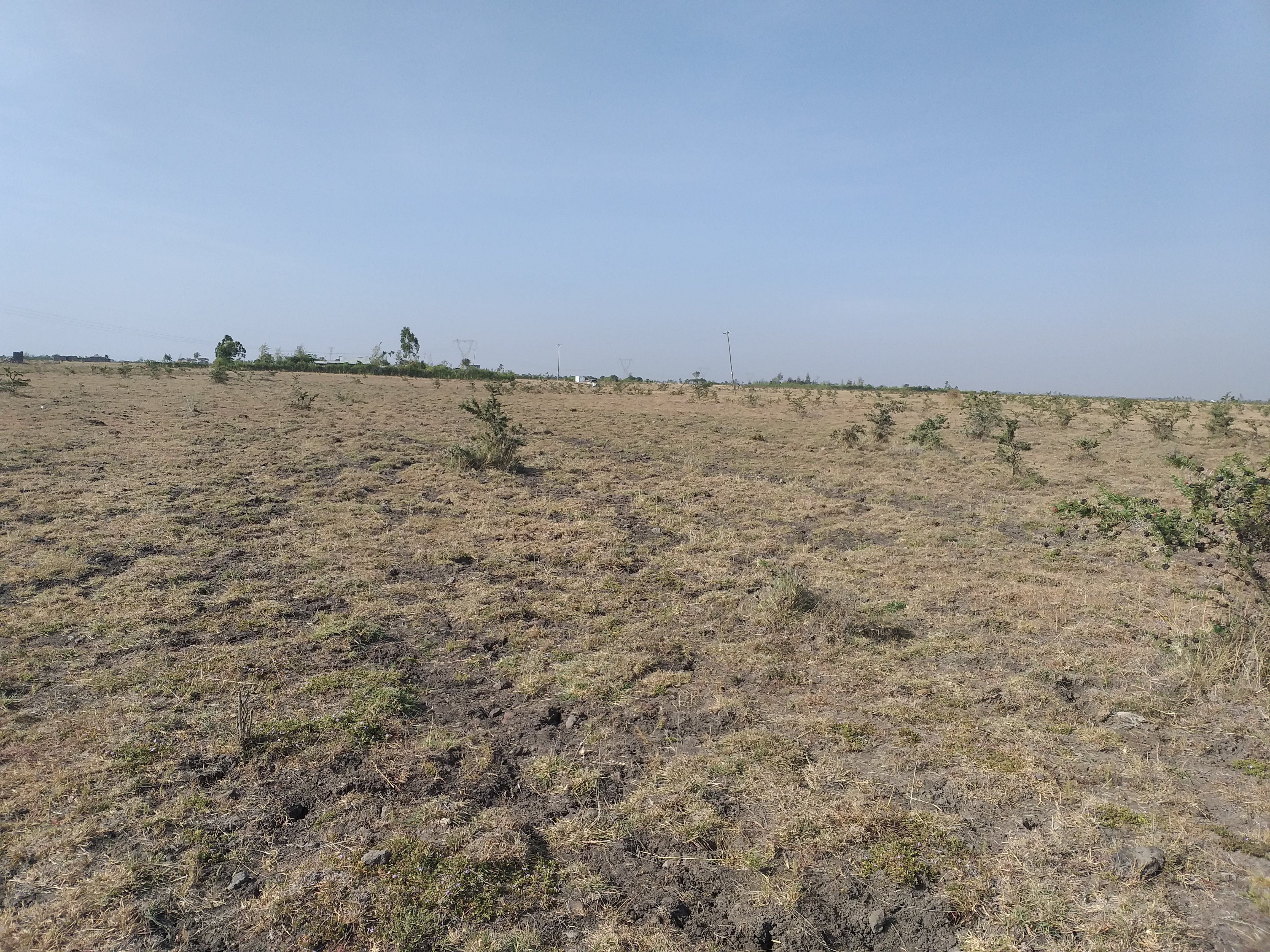 Scenic Plots for Sale in Lukenya - Image 4